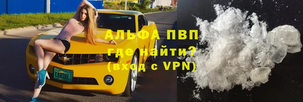 прущие крисы Магас