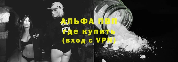 прущие крисы Магас