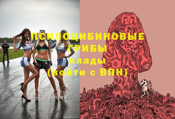 spice Белокуриха