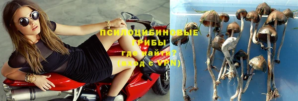 spice Белокуриха
