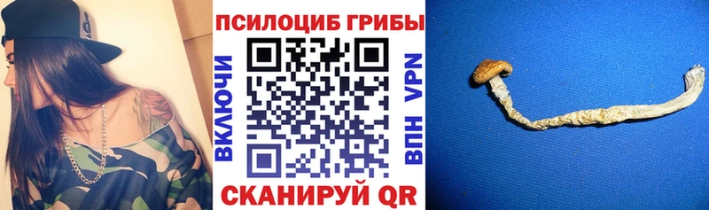Галлюциногенные грибы прущие грибы  Бокситогорск 
