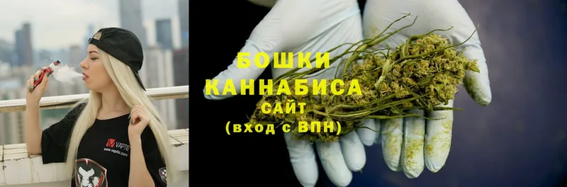 Конопля White Widow  закладка  Бокситогорск 